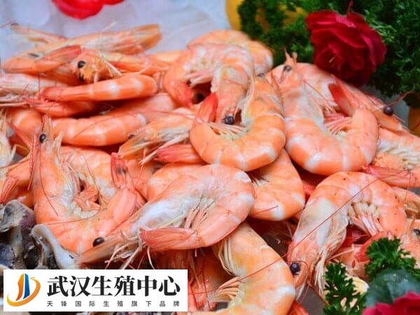 取卵前吃什么对卵泡好