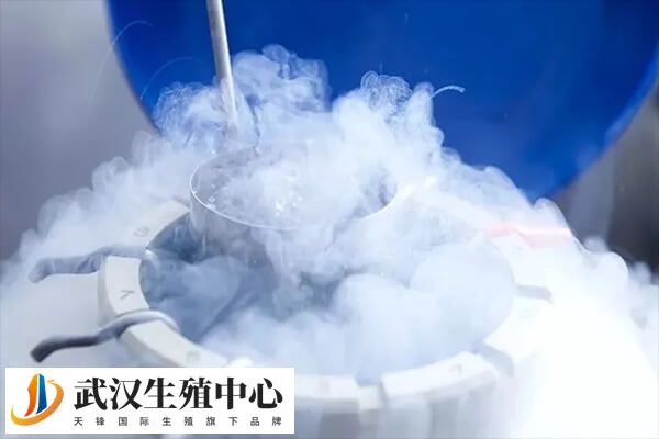冻胚可保存生育力