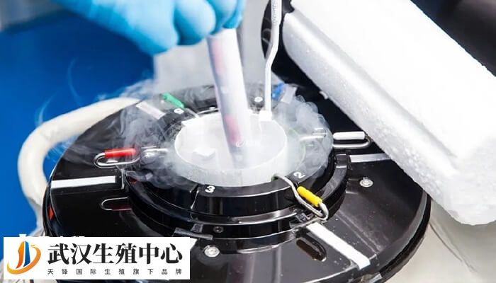 冻胚移植前要保持良好心态