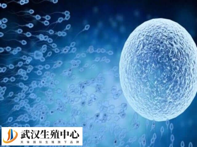 鲜胚移植前要进行身体检查