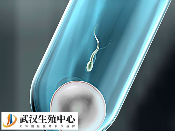 移植前要养成良好的饮食习惯