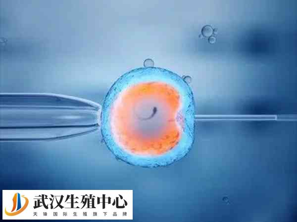 试管技术是治疗不孕不育的有效手段