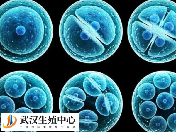 人工授精后感到屁股疼痛可能正常