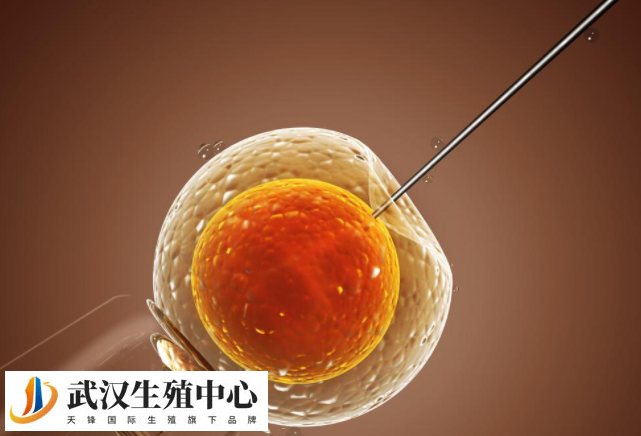自然周期移植在月经第17天