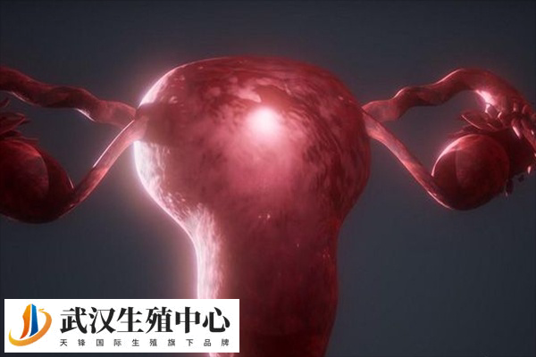 子宫内膜影响试管移植