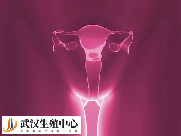 女性FSH值超过10IU/L表示卵巢功能下降