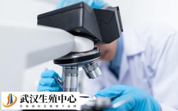 囊胚筛查会影响胚胎发育