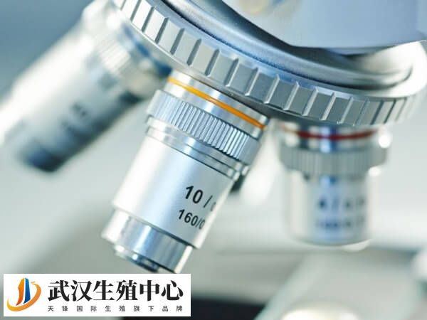 胚胎培养失败要查明原因