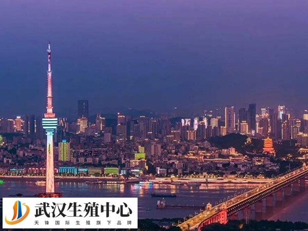 武汉十大试管婴儿医院排名中成功率最高的是哪家？