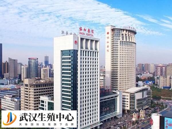 武汉第三代试管哪家私立医院做得好？