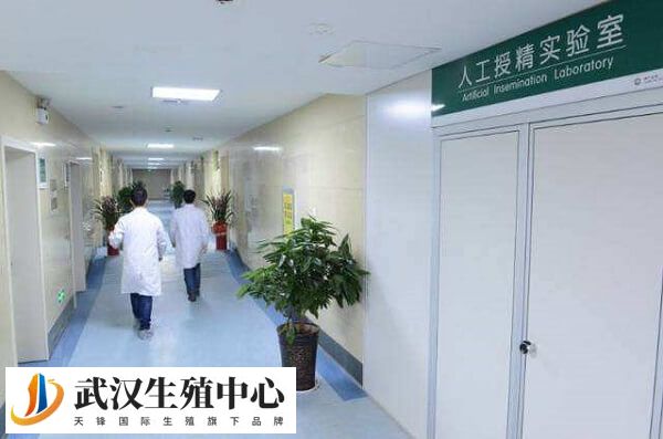 武汉的姐妹听说过哪家医院有试管包怀孕套餐吗？