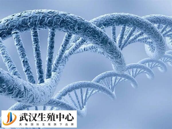 武汉无创dna免费申请条件及流程是怎样的？