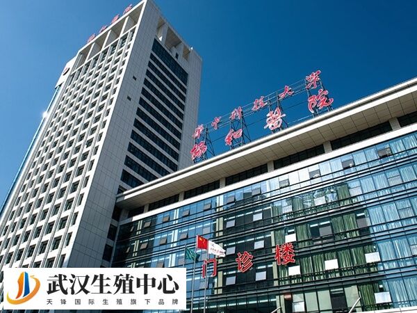 武汉协和医院可以合法供卵