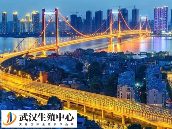 湖北公立三代供卵试管医院大多都在武汉