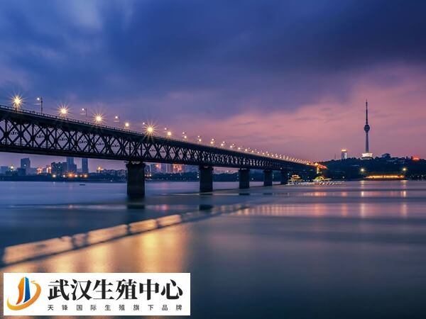 武汉试管婴儿医院有10家