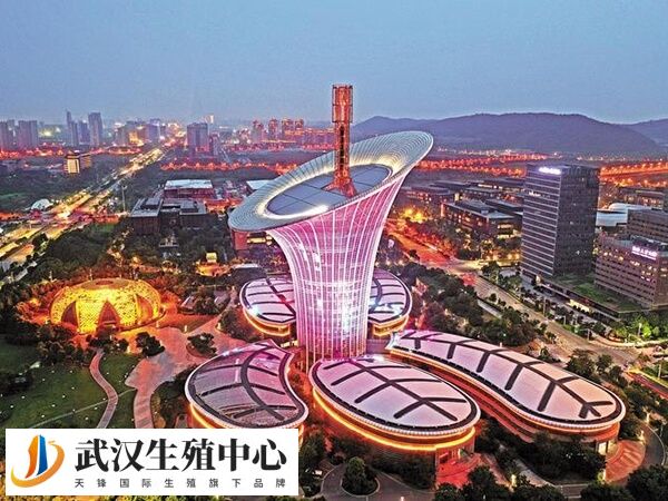 武汉私立医院做供卵助孕多少钱一次？