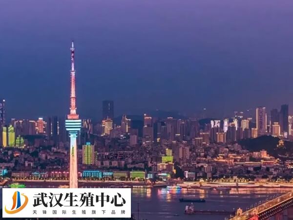 武汉有两家私立生殖医院