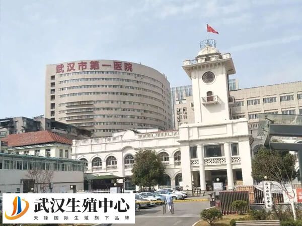 武汉市第一医院