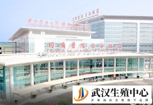 光谷院区外景图