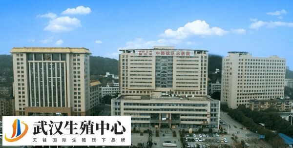 武汉总医院能供卵做3代试管婴儿吗？