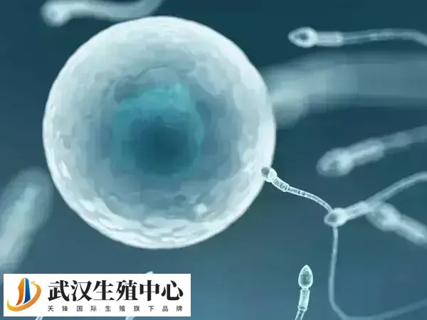 ERT治疗可以提供更加个性化的治疗方法