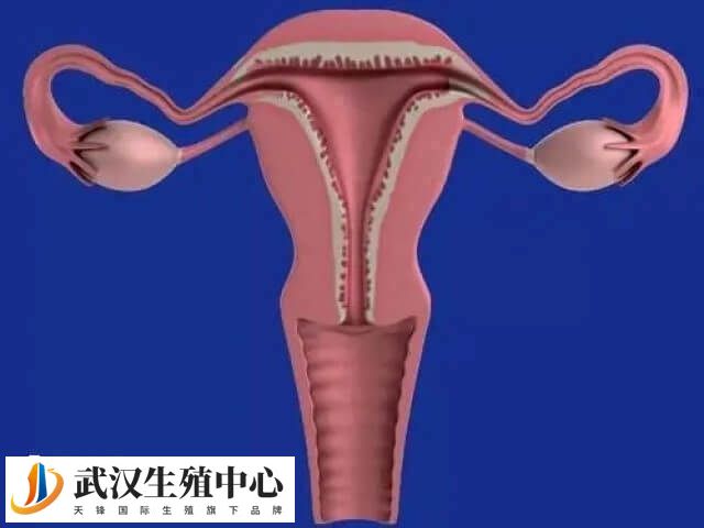 RT治疗可以帮助调整子宫内膜状态