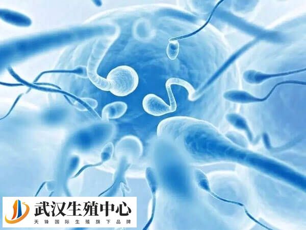 男性状态不佳可能影响到新精子的生成