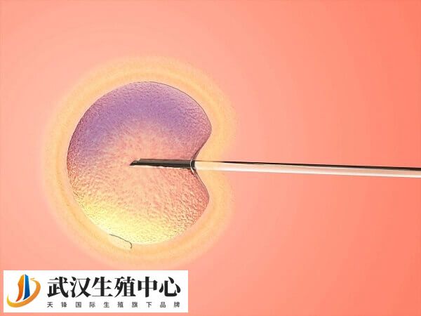 受精过程中的染色体变异会影响胚胎质量