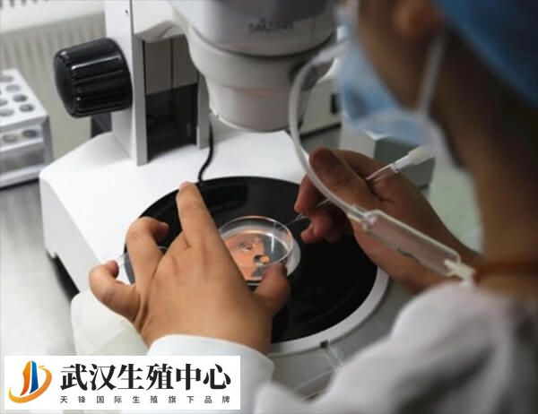 如果母体异常怀孕后胚胎会被排斥