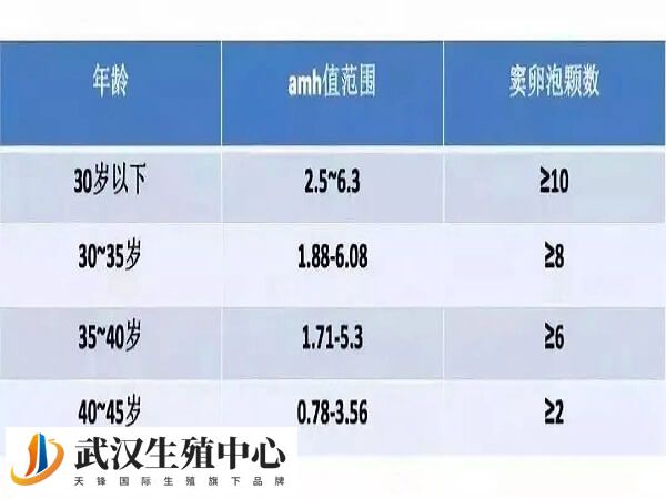 卵巢是每一个女性的重要生殖基础