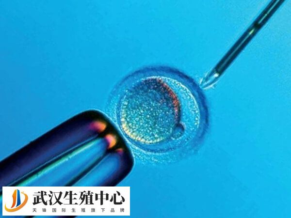 试管婴儿成功率与年龄息息相关