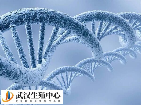 武汉申请无创dna免费做需要有本地户籍