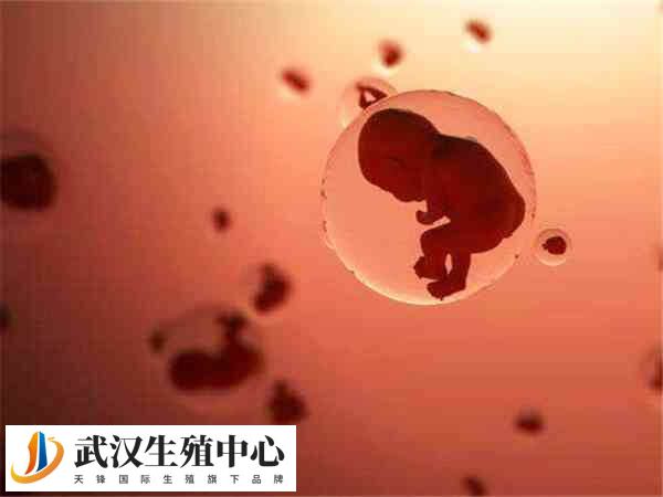 HIV患者不可以进行试管婴儿助孕治疗