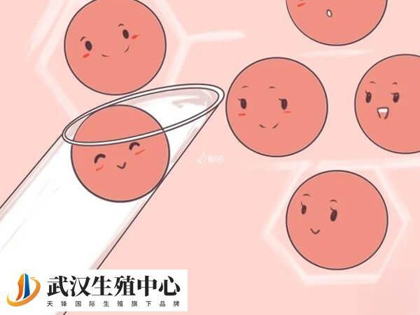 卵子提前排出可能会出现空卵