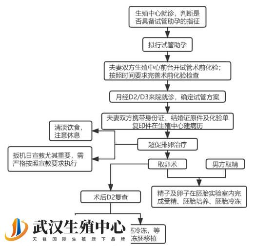 试管婴儿助孕流程图