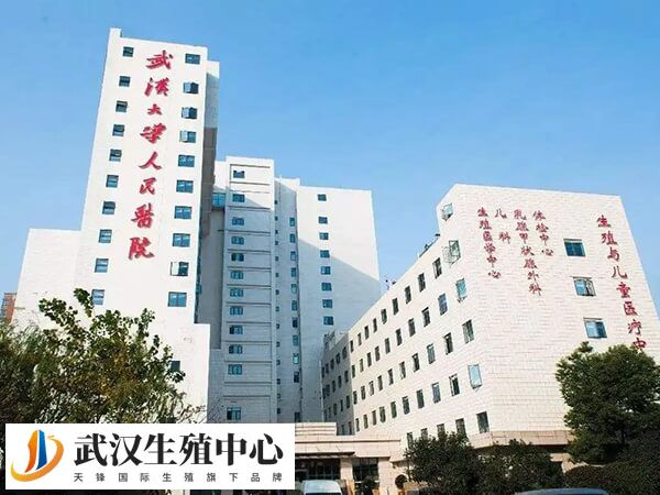 武汉大学人民医院