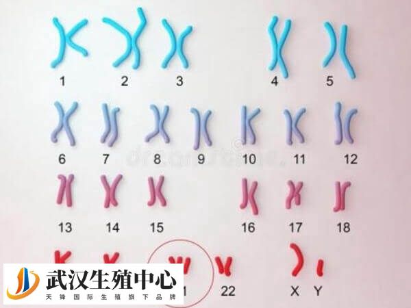 正常情况下有46条染色体