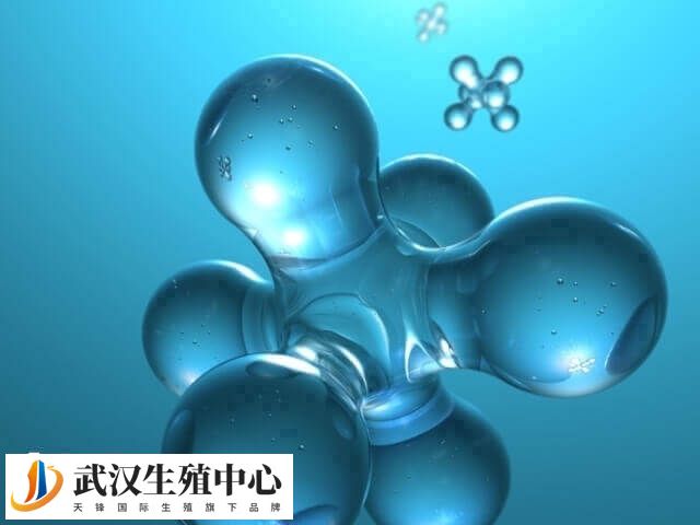 胚胎整倍体+16属于染色体整倍体异常