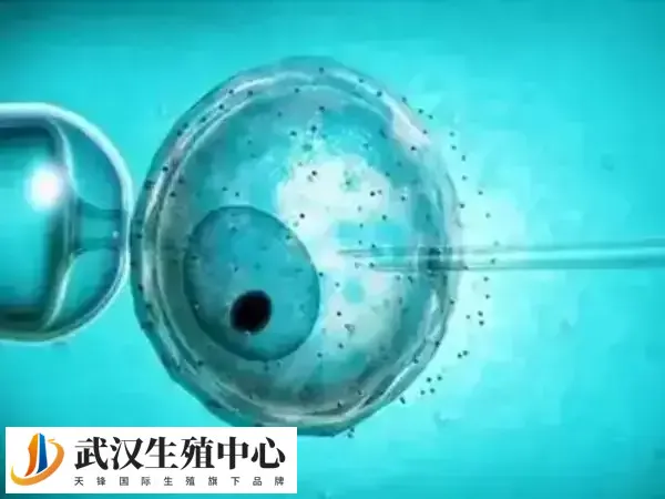 促排后要注意休息