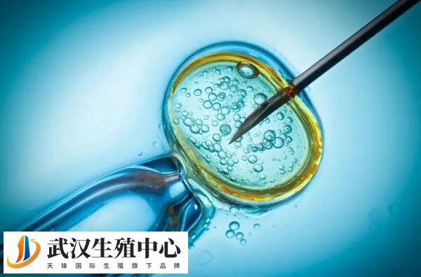 试管和自然受孕只区别于受孕方式不同