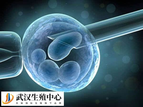 试管生育的孩子智商受父母基因影响大