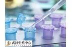 武汉三代试管婴儿医院排名，附试管费用成功
