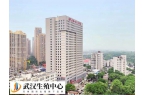 武汉大学中南医院能做第三代试管婴儿吗？