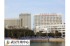 武汉大学中南医院生殖医学中心哪个医生做试