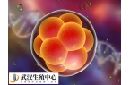 胚胎质量一般移植后会不会发育得好