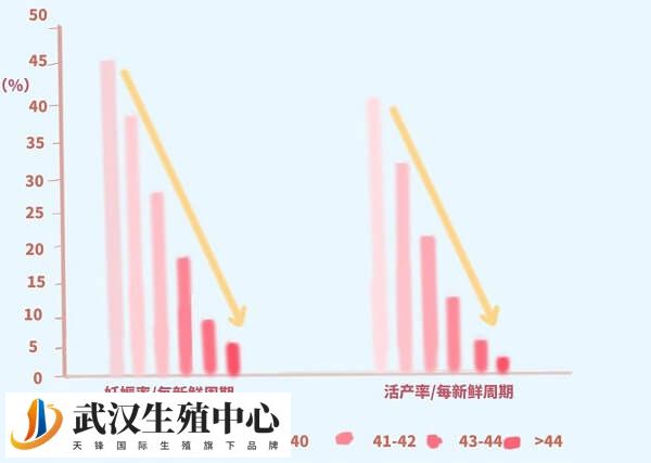 试管多大年龄可以做(图1) 试管多大年龄可以做(图1)